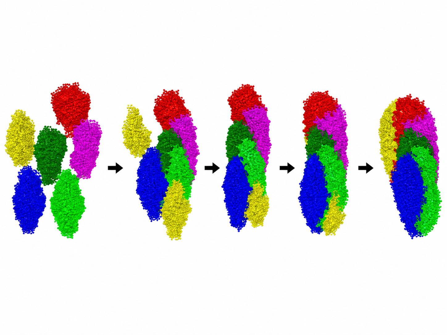 Sequence showing six molecular filaments assembling into a combined structure